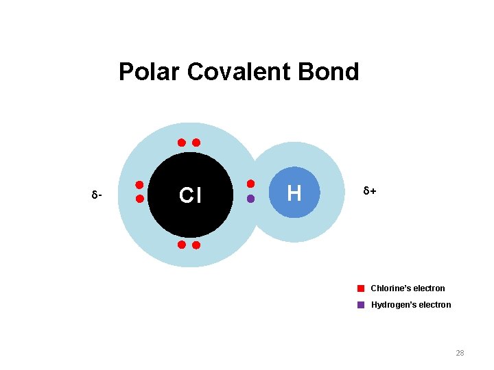 Polar Covalent Bond δ- Cl H δ+ Chlorine’s electron Hydrogen’s electron 28 