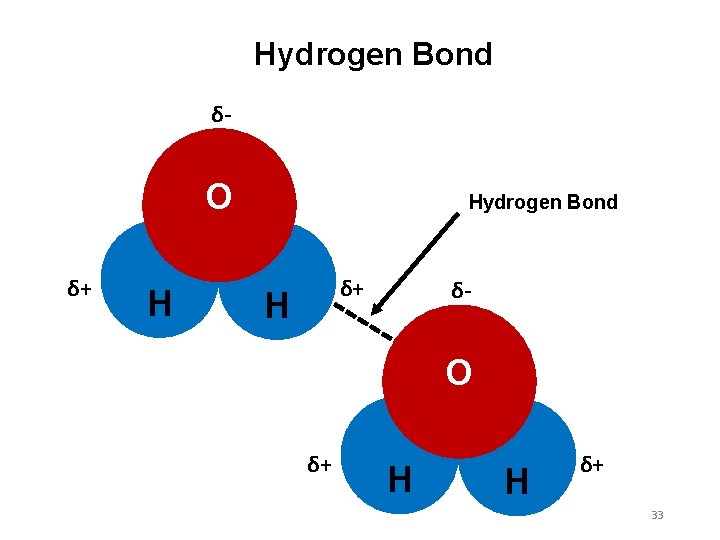 Hydrogen Bond δ- O δ+ H Hydrogen Bond δ+ H δ- O δ+ H