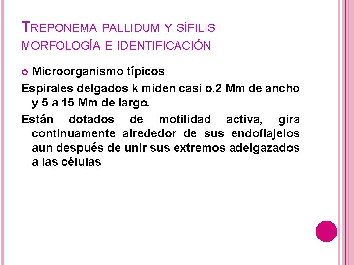 TREPONEMA PALLIDUM Y SÍFILIS MORFOLOGÍA E IDENTIFICACIÓN Microorganismo típicos Espirales delgados k miden casi