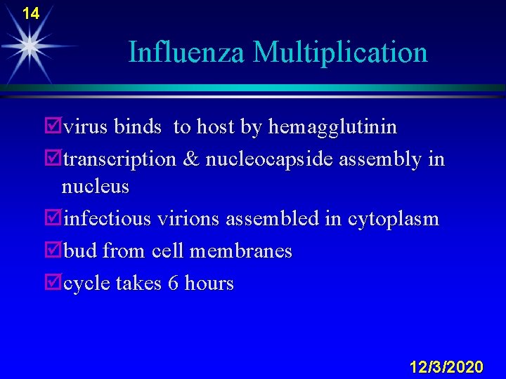 14 Influenza Multiplication þvirus binds to host by hemagglutinin þtranscription & nucleocapside assembly in
