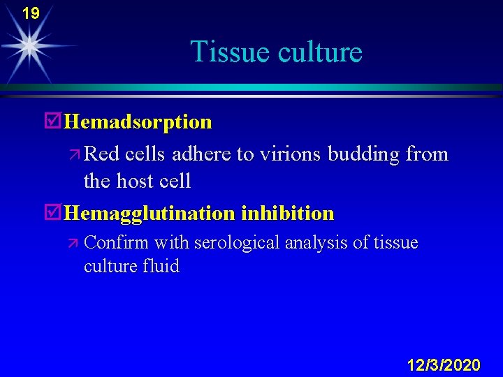 19 Tissue culture þHemadsorption ä Red cells adhere to virions budding from the host