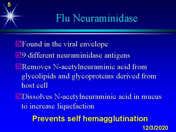 5 Flu Neuraminidase þFound in the viral envelope þ 9 different neuraminidase antigens þRemoves