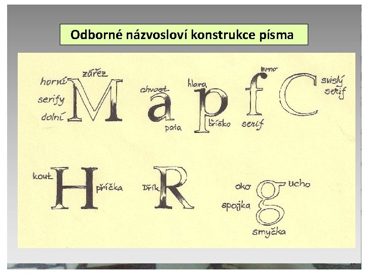  Odborné názvosloví konstrukce písma ©c. zuk 