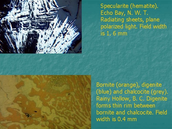 Specularite (hematite). Echo Bay, N. W. T. Radiating sheets, plane polarized light. Field width