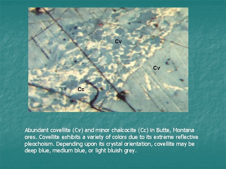 Abundant covellite (Cv) and minor chalcocite (Cc) in Butte, Montana ores. Covellite exhibits a