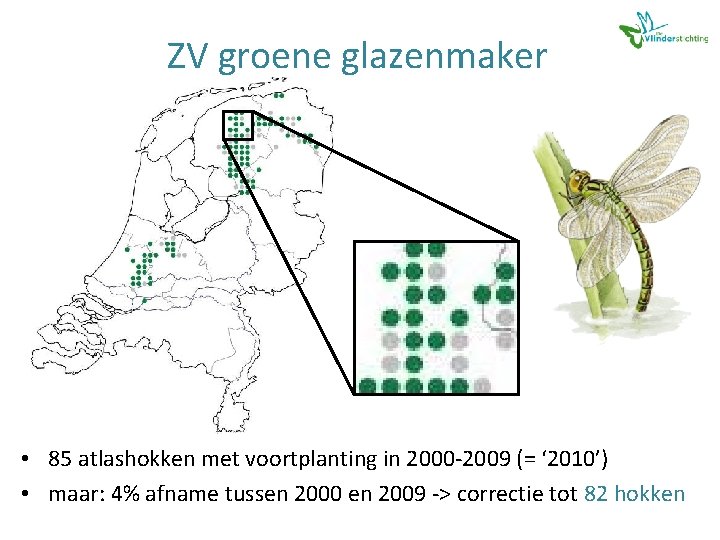 ZV groene glazenmaker • 85 atlashokken met voortplanting in 2000 -2009 (= ‘ 2010’)