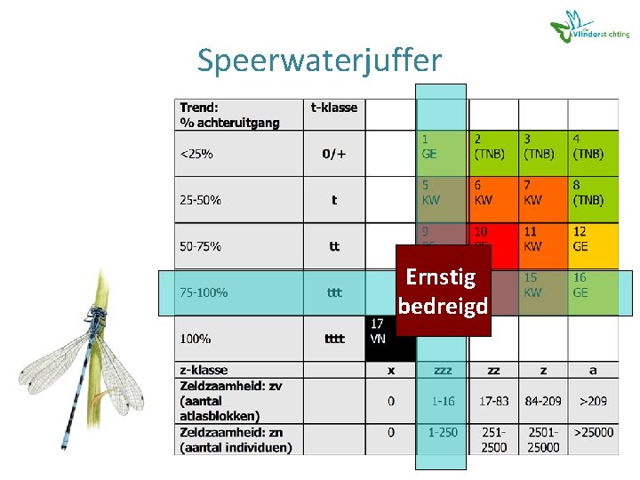 Speerwaterjuffer Ernstig bedreigd 