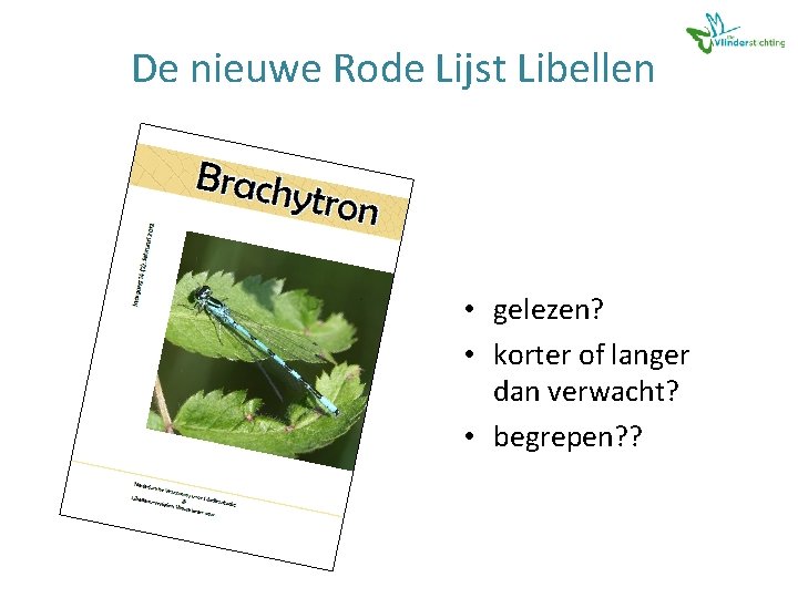 De nieuwe Rode Lijst Libellen • gelezen? • korter of langer dan verwacht? •