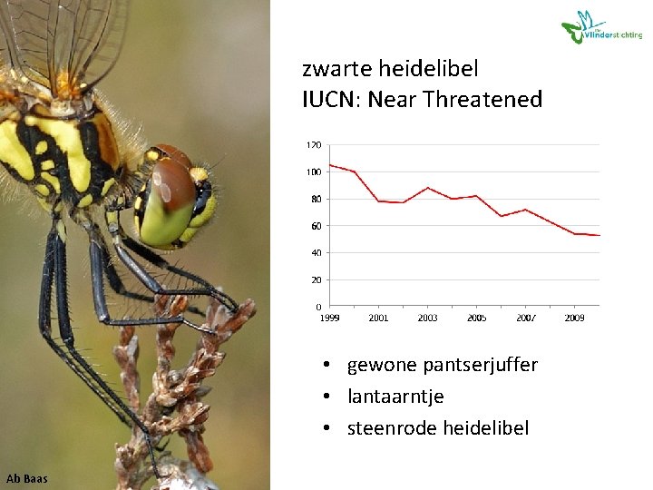 zwarte heidelibel IUCN: Near Threatened • gewone pantserjuffer • lantaarntje • steenrode heidelibel Ab