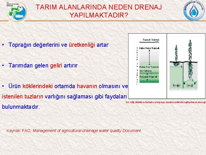 TARIM ALANLARINDA NEDEN DRENAJ YAPILMAKTADIR? • Toprağın değerlerini ve üretkenliği artar • Tarımdan gelen