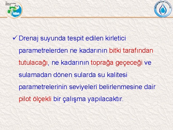 ü Drenaj suyunda tespit edilen kirletici parametrelerden ne kadarının bitki tarafından tutulacağı, ne kadarının