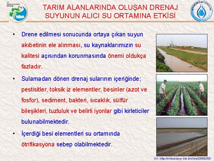 TARIM ALANLARINDA OLUŞAN DRENAJ SUYUNUN ALICI SU ORTAMINA ETKİSİ • Drene edilmesi sonucunda ortaya