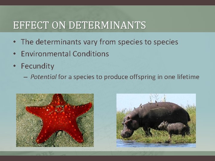 EFFECT ON DETERMINANTS • The determinants vary from species to species • Environmental Conditions