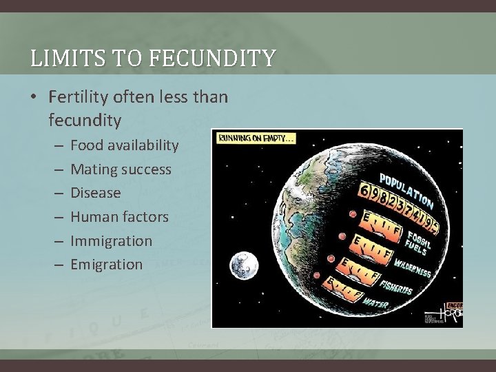 LIMITS TO FECUNDITY • Fertility often less than fecundity – – – Food availability