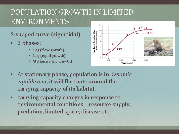 POPULATION GROWTH IN LIMITED ENVIRONMENTS S-shaped curve (sigmoidal) • 3 phases: • Lag (slow