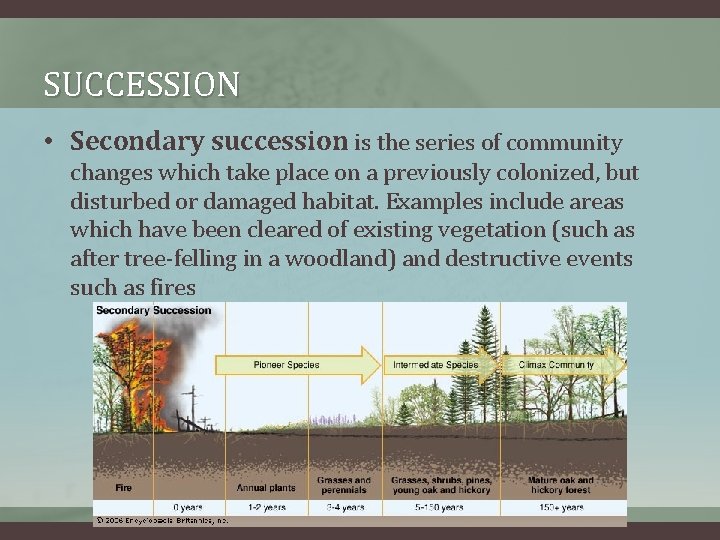 SUCCESSION • Secondary succession is the series of community changes which take place on