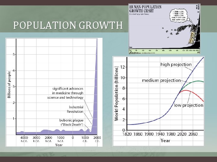 POPULATION GROWTH 