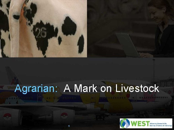 Agrarian: A Mark on Livestock 5 