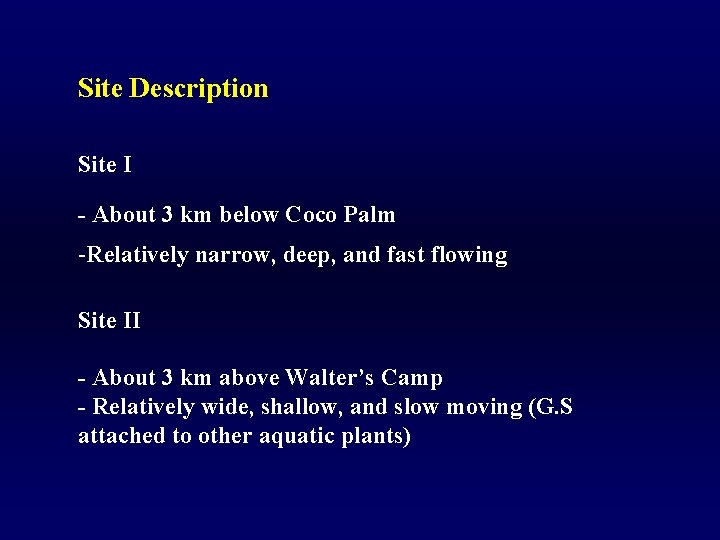 Site Description Site I - About 3 km below Coco Palm -Relatively narrow, deep,