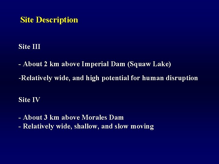 Site Description Site III - About 2 km above Imperial Dam (Squaw Lake) -Relatively