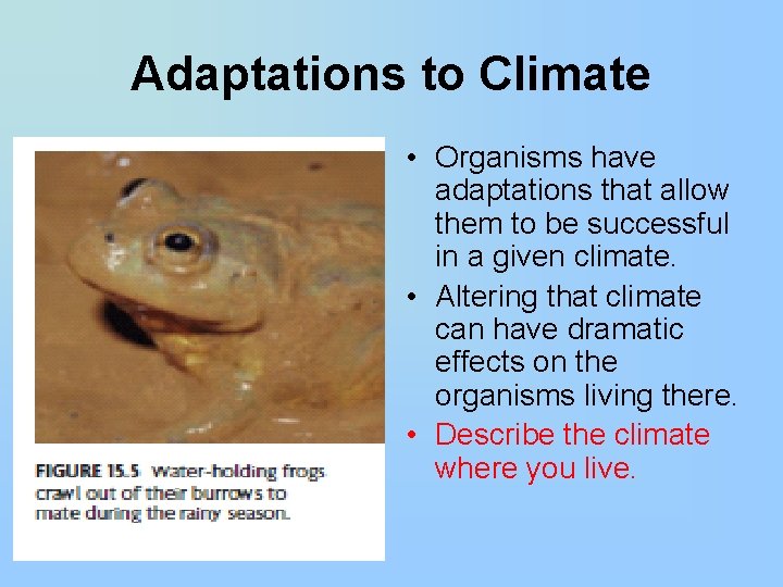 Adaptations to Climate • Organisms have adaptations that allow them to be successful in