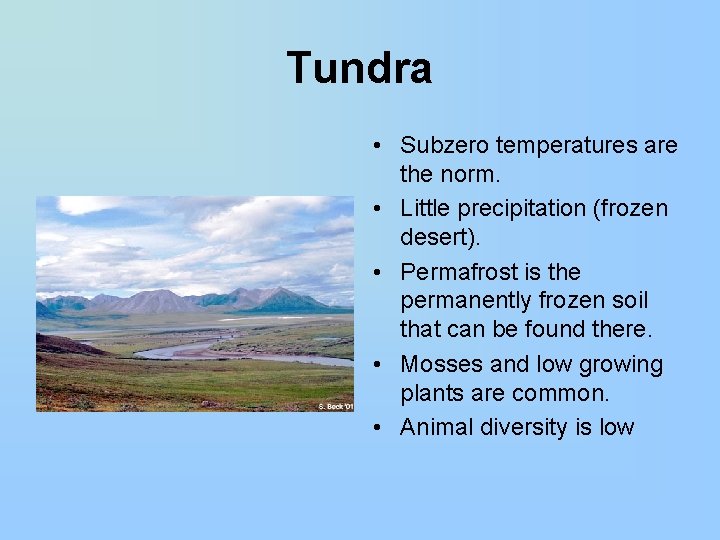 Tundra • Subzero temperatures are the norm. • Little precipitation (frozen desert). • Permafrost