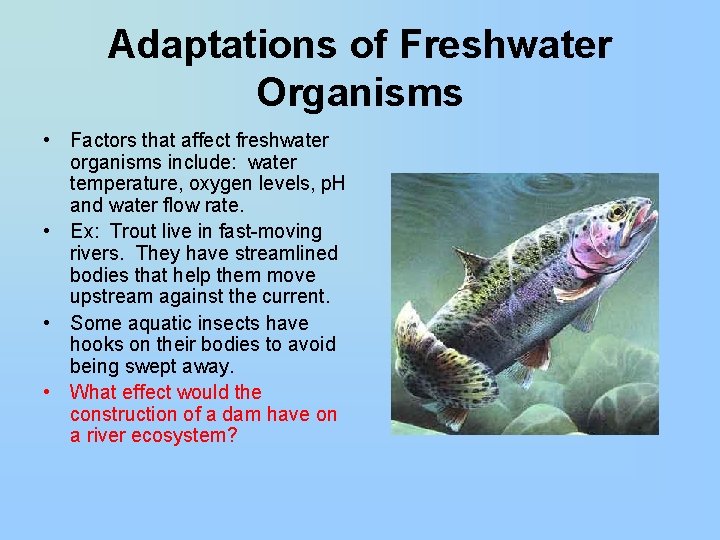 Adaptations of Freshwater Organisms • Factors that affect freshwater organisms include: water temperature, oxygen