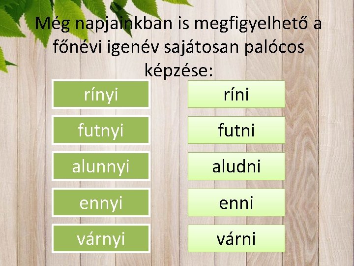 Még napjainkban is megfigyelhető a főnévi igenév sajátosan palócos képzése: rínyi ríni futnyi futni