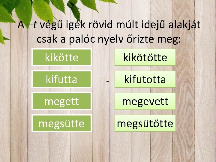 A –t végű igék rövid múlt idejű alakját csak a palóc nyelv őrizte meg: