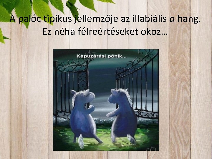 A palóc tipikus jellemzője az illabiális a hang. Ez néha félreértéseket okoz… 