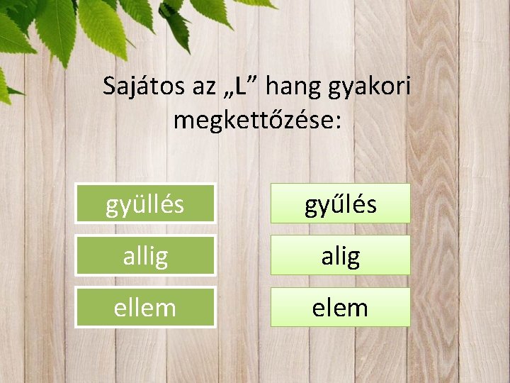 Sajátos az „L” hang gyakori megkettőzése: gyüllés gyűlés allig alig ellem elem 