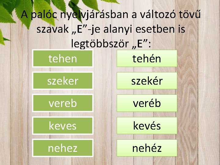 A palóc nyelvjárásban a változó tövű szavak „E”-je alanyi esetben is legtöbbször „E”: tehen