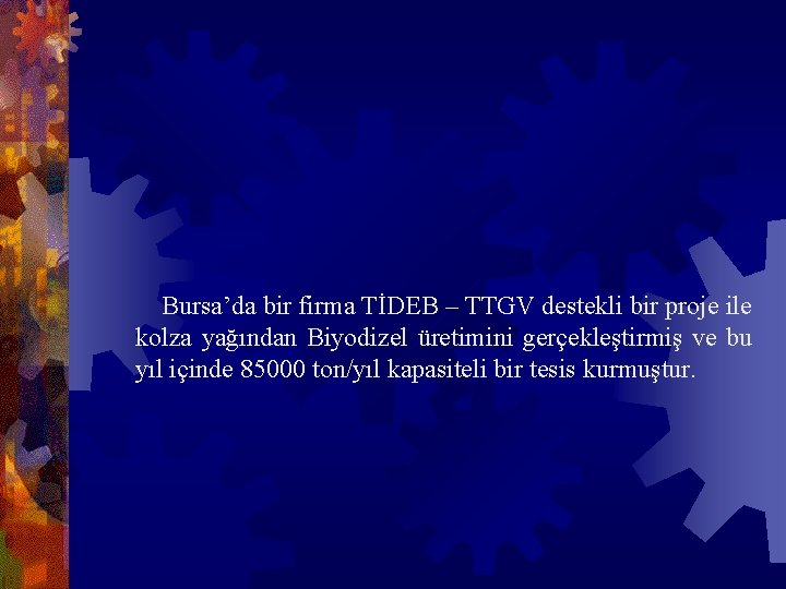 Bursa’da bir firma TİDEB – TTGV destekli bir proje ile kolza yağından Biyodizel üretimini