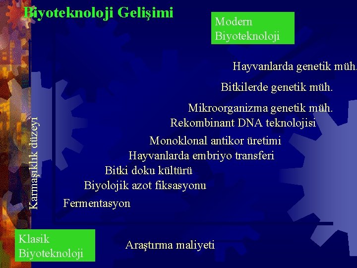 Biyoteknoloji Gelişimi Modern Biyoteknoloji Hayvanlarda genetik müh. Karmaşıklık düzeyi Bitkilerde genetik müh. Mikroorganizma genetik
