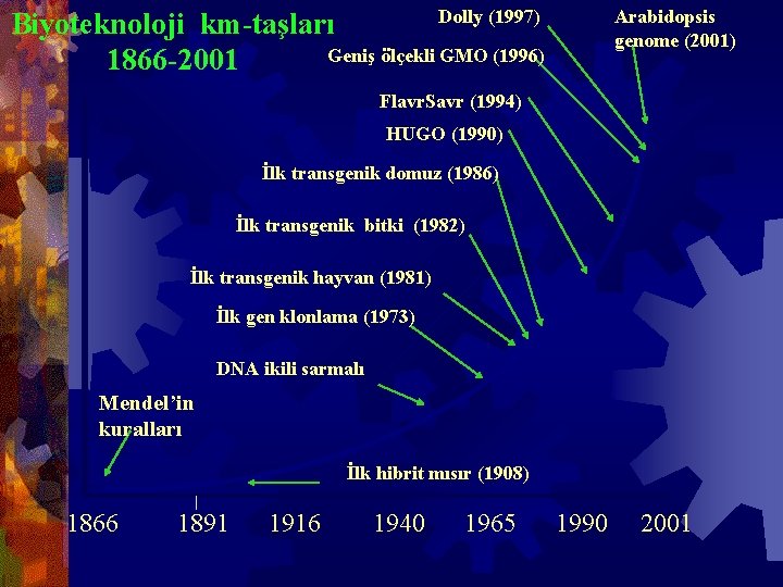 Dolly (1997) Biyoteknoloji km-taşları Geniş ölçekli GMO (1996) 1866 -2001 Arabidopsis genome (2001) Flavr.