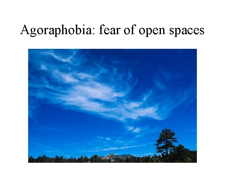 Agoraphobia: fear of open spaces 
