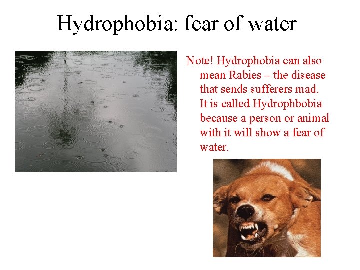 Hydrophobia: fear of water Note! Hydrophobia can also mean Rabies – the disease that