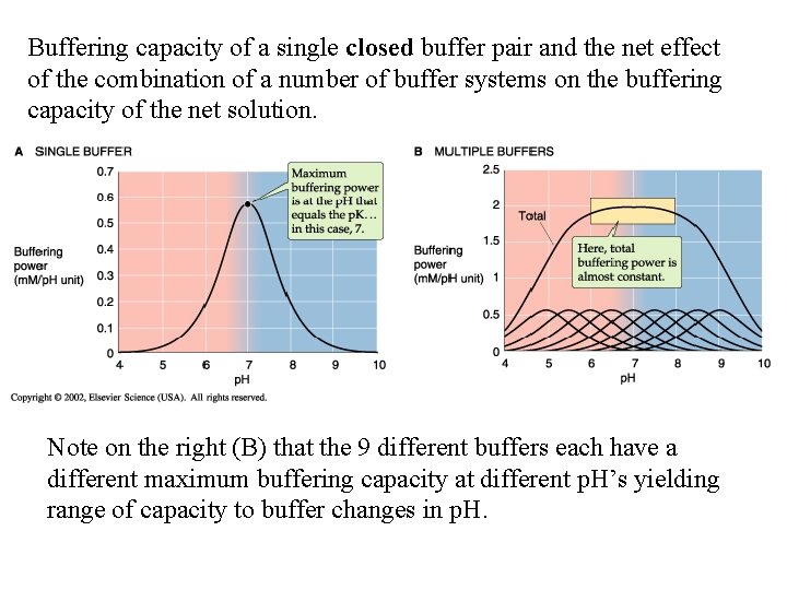 Buffering capacity of a single closed buffer pair and the net effect of the