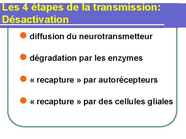 Les 4 étapes de la transmission: Désactivation l diffusion du neurotransmetteur l dégradation par