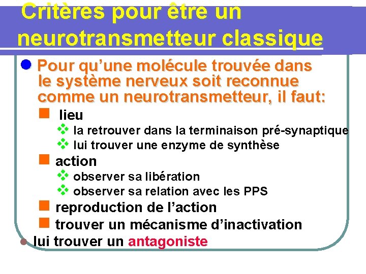  Critères pour être un neurotransmetteur classique l Pour qu’une molécule trouvée dans le