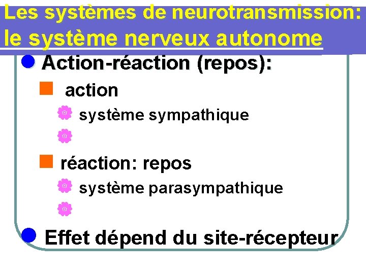 Les systèmes de neurotransmission: le système nerveux autonome l Action-réaction (repos): n action |