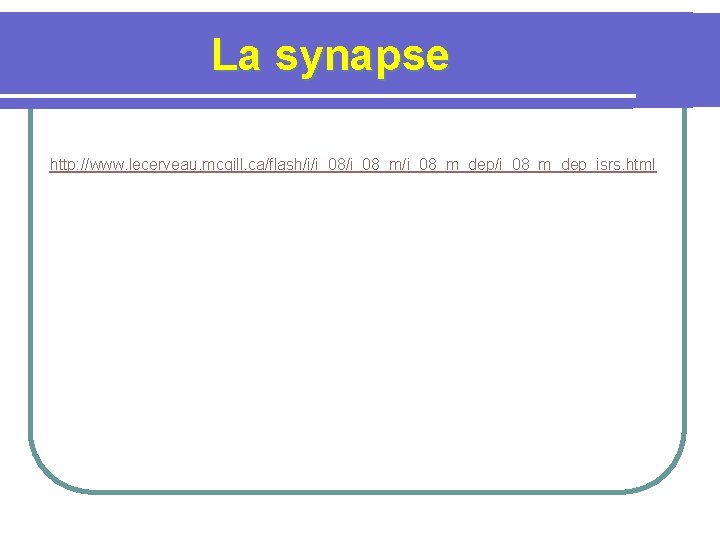 La synapse http: //www. lecerveau. mcgill. ca/flash/i/i_08_m/i_08_m_dep_isrs. html 