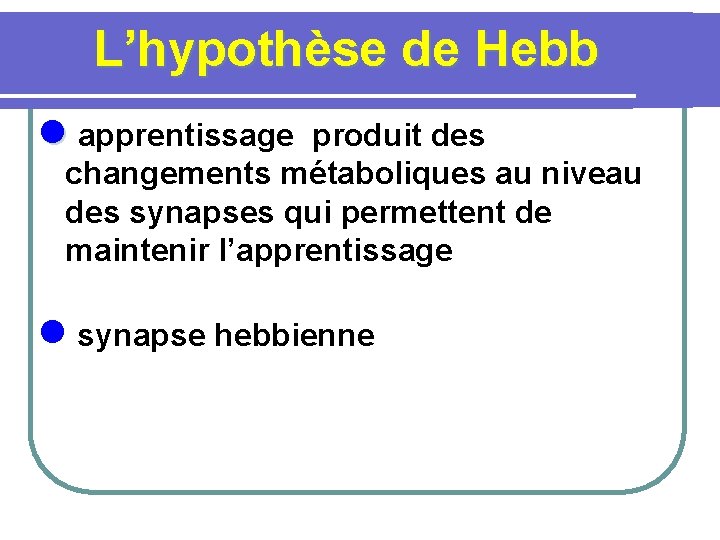 L’hypothèse de Hebb l apprentissage produit des changements métaboliques au niveau des synapses qui