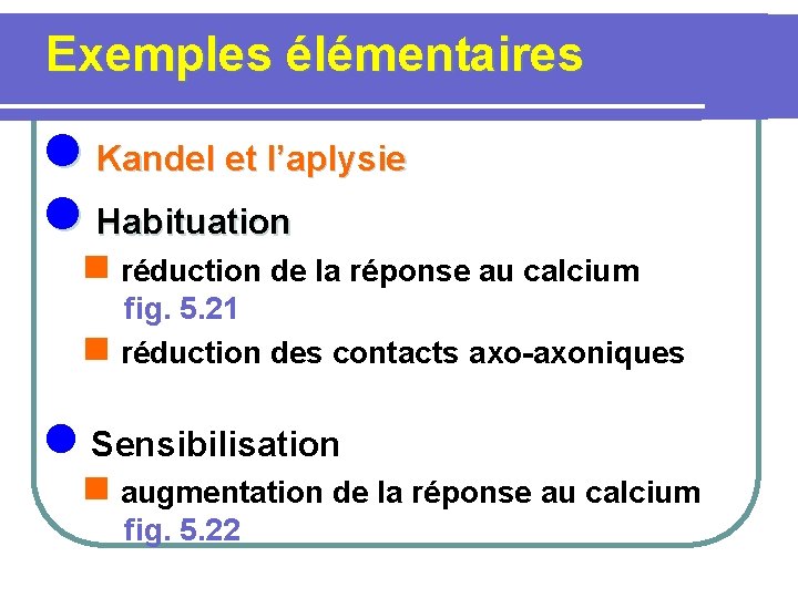  Exemples élémentaires l Kandel et l’aplysie l Habituation n réduction de la réponse