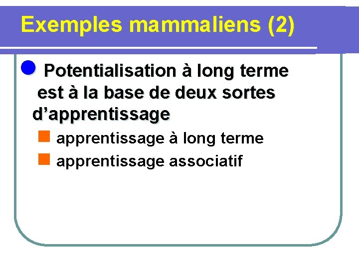  Exemples mammaliens (2) l Potentialisation à long terme est à la base de