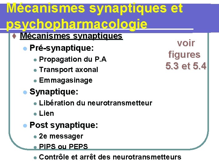 Mécanismes synaptiques et psychopharmacologie t Mécanismes synaptiques l Pré-synaptique: Propagation du P. A l