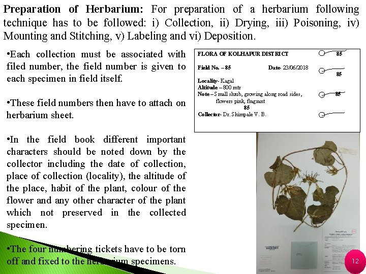 Preparation of Herbarium: For preparation of a herbarium following technique has to be followed: