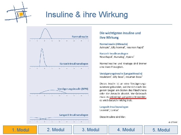 Insuline & ihre Wirkung © STGKK 1. Modul 2. Modul 3. Modul 4. Modul
