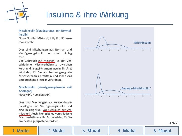 Insuline & ihre Wirkung © STGKK 1. Modul 2. Modul 3. Modul 4. Modul