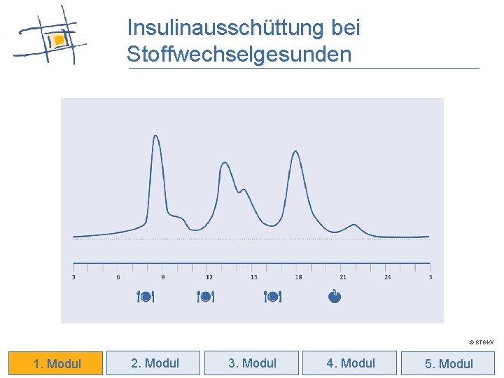 Insulinausschüttung bei Stoffwechselgesunden © STGKK 1. Modul 2. Modul 3. Modul 4. Modul 15